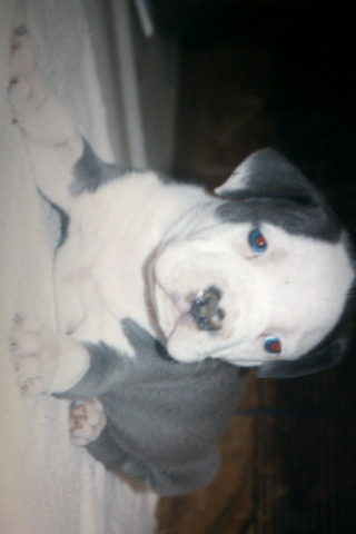 Frank's iPhone 3GS – Photo 5