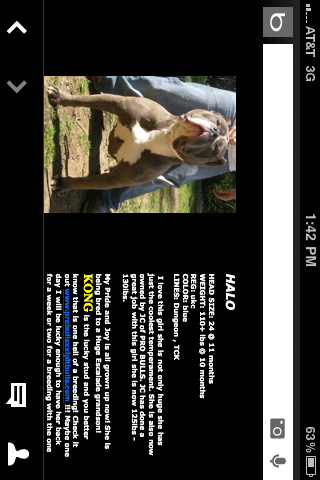 Frank's iPhone 3GS – Photo 6