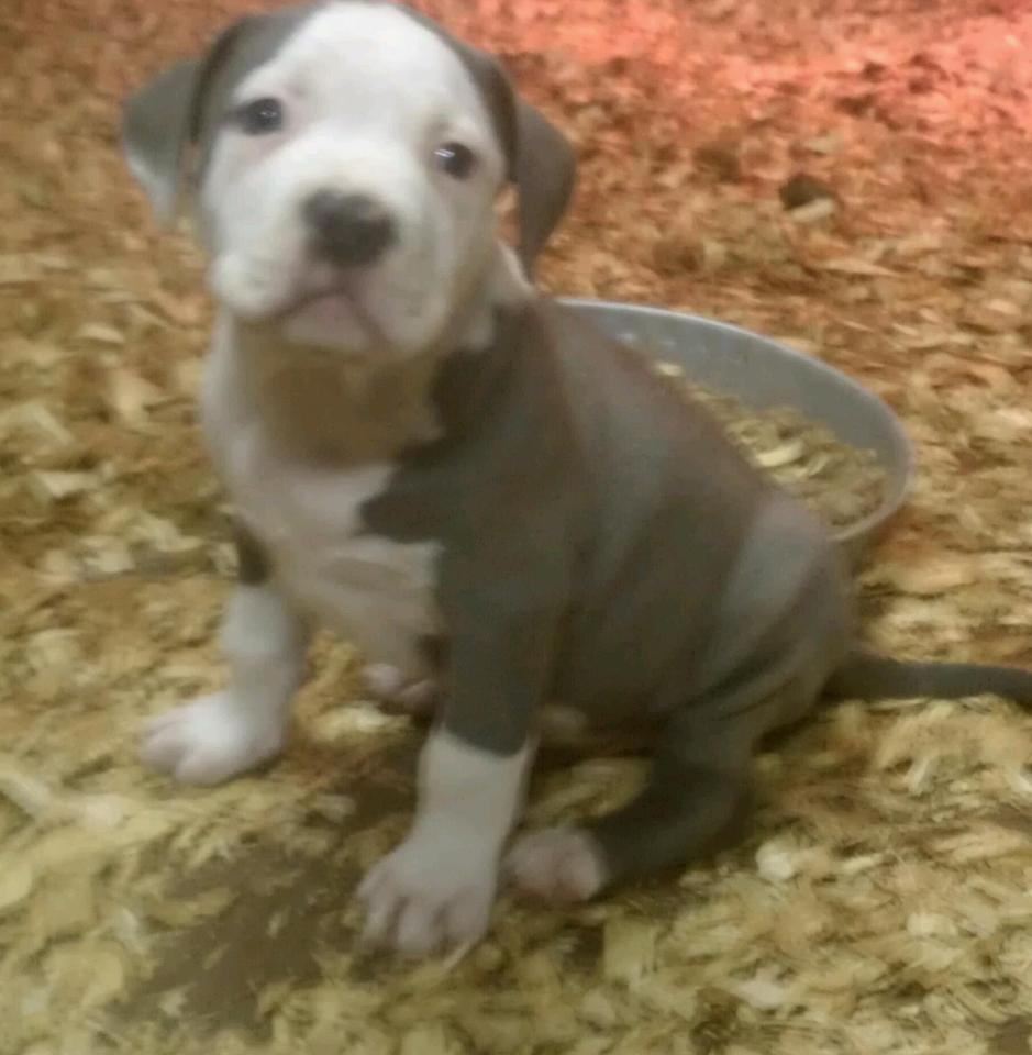 Frank's iPhone 3GS – Photo 15