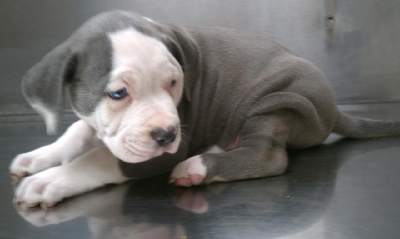 Frank's iPhone 3GS – Photo 16