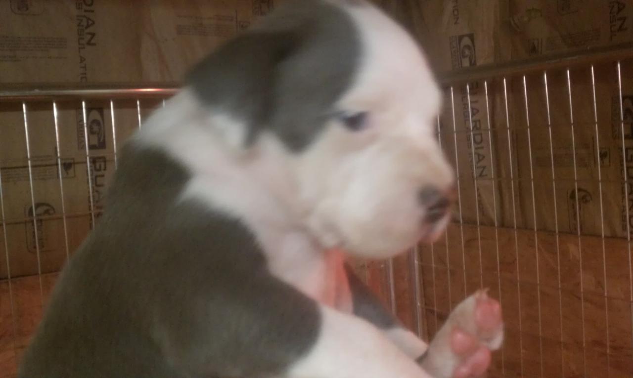 Frank's iPhone 3GS – Photo 20