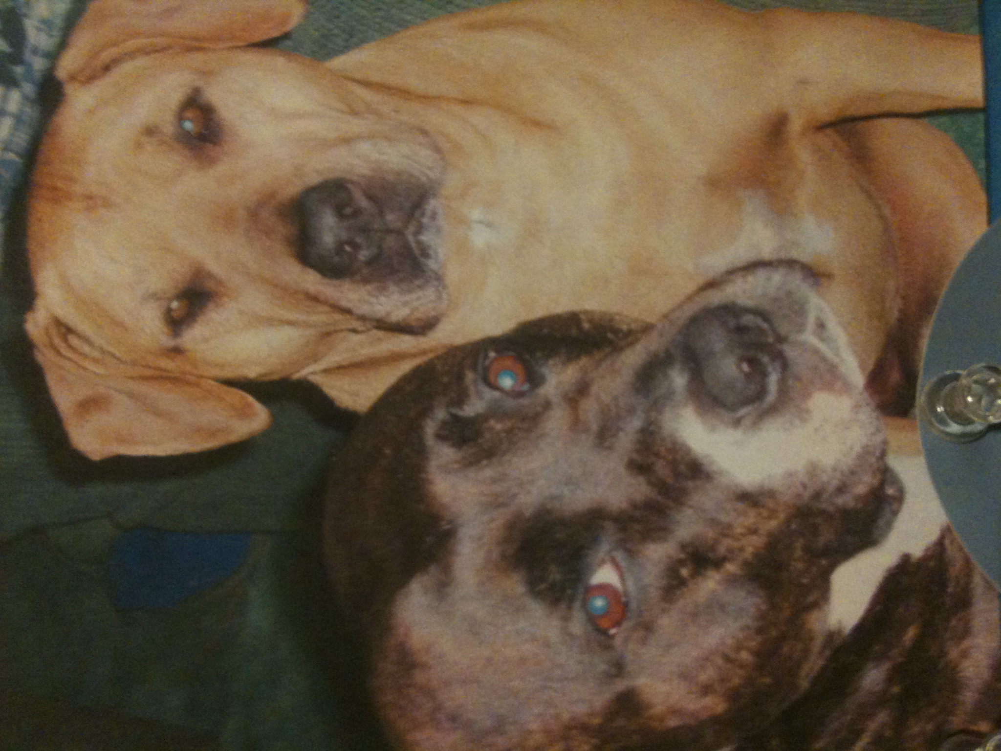 Frank's iPhone 3GS – Photo 21