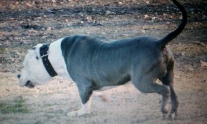 Frank's iPhone 3GS – Photo 22