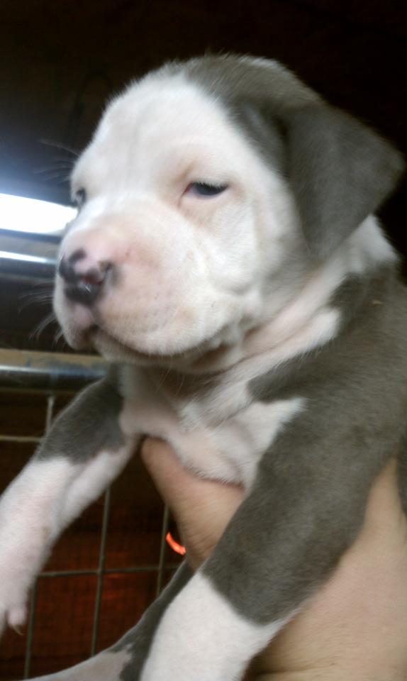 Frank's iPhone 3GS – Photo 24