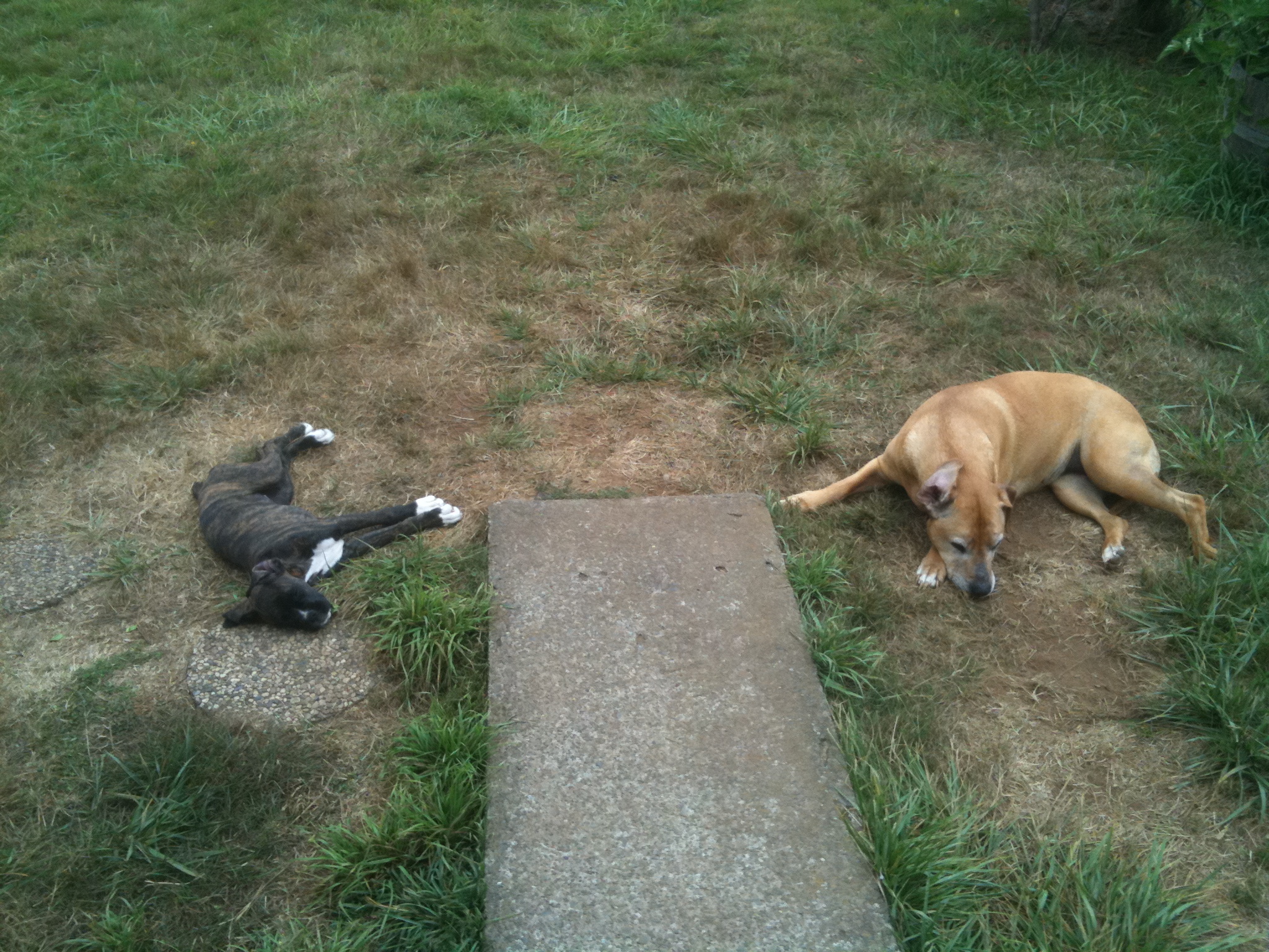 Frank's iPhone 3GS – Photo 30