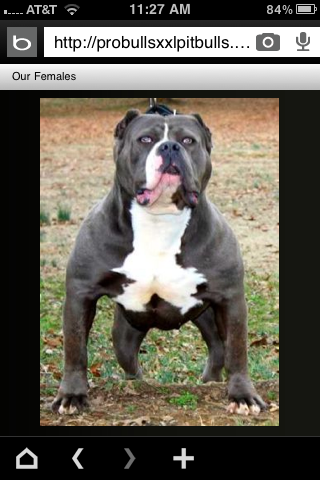 Frank's iPhone 3GS – Photo 31