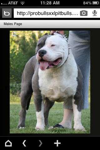 Frank's iPhone 3GS – Photo 32