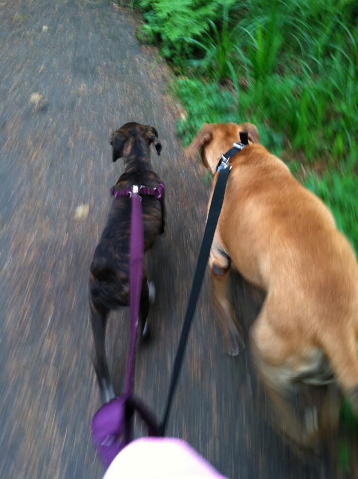 Frank's iPhone 3GS – Photo 36