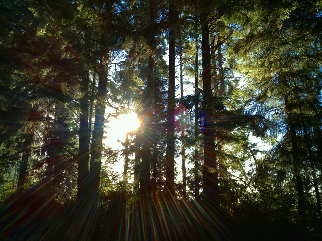 Frank's iPhone 3GS – Photo 44