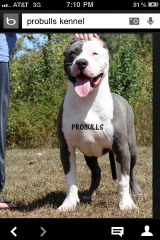 Frank's iPhone 3GS – Photo 45