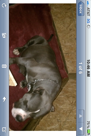 Frank's iPhone 3GS – Photo 51