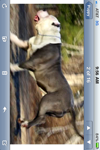 Frank's iPhone 3GS – Photo 53